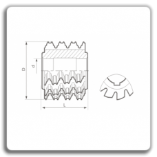 Mills toothed snail SC 2704