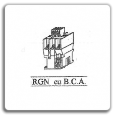 Contactoare RGN4 + B.C.A. 25A